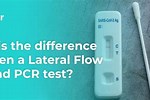 Difference Between PCR and Lateral Flow Test