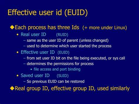 Difference between Real User ID Effective User ID and Saved User ID