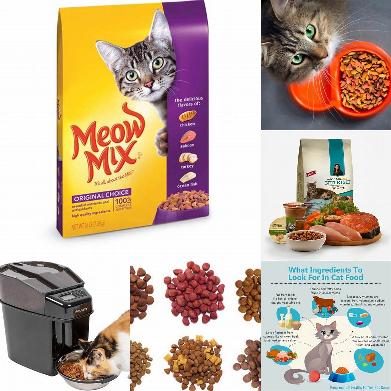 Different types of cat food