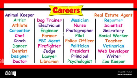 Different Types Of Career