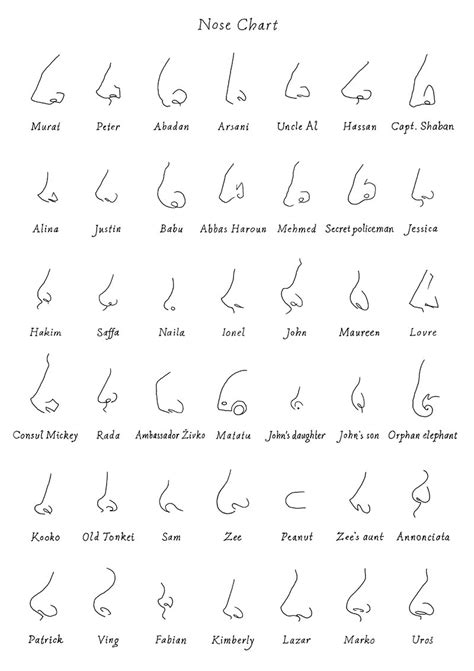 Different Types Of Noses Chart