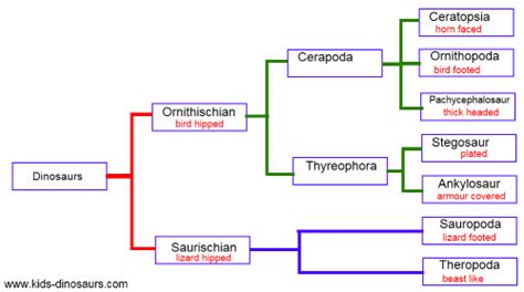 Dinosaur Classification Chart