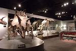 Dinosaur Museum Mesa AZ