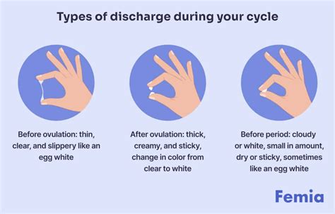 Discharge During Cycle Chart