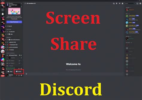 Discord Screen