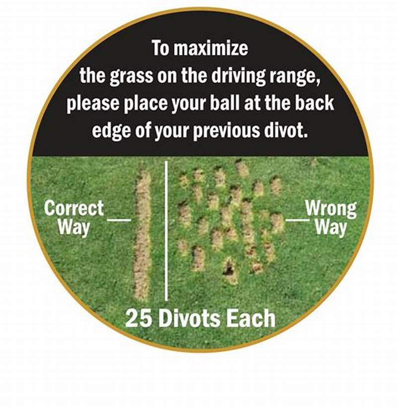 Divot Pattern Driving Range