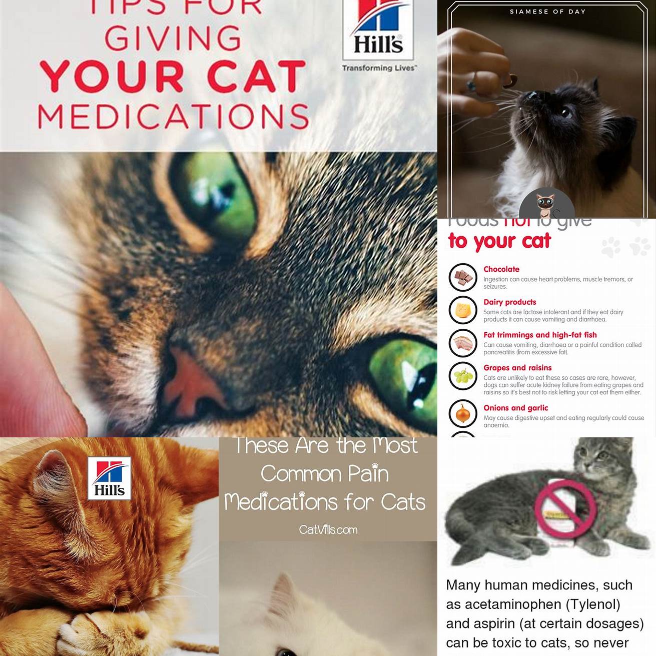 Do not give your cat any other medications without consulting your veterinarian first Some medications can interact with amoxicillin and cause adverse effects