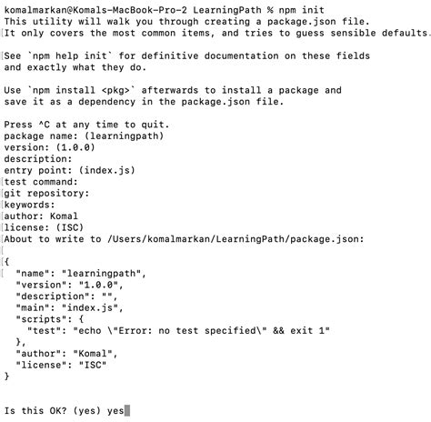 Do I need both package-lockjson and packagejson