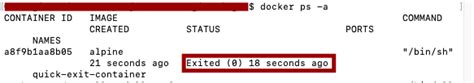 Docker Compose keep container running