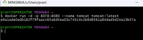 Docker Error bind address already in use