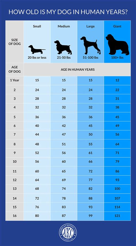 Dog Age Size Chart