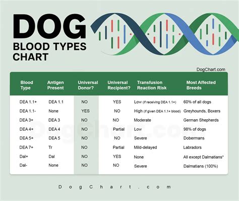 Dog Blood Types Chart