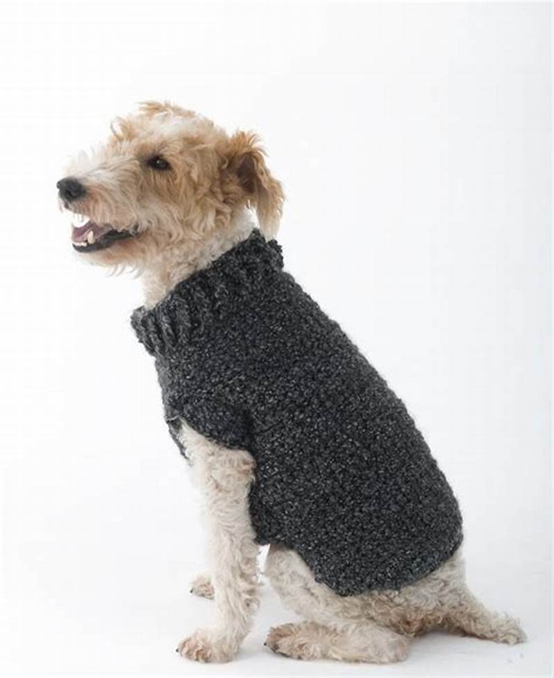 Dog Coat Pattern Knitting