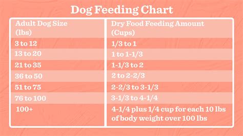 Dog Food Amount Chart