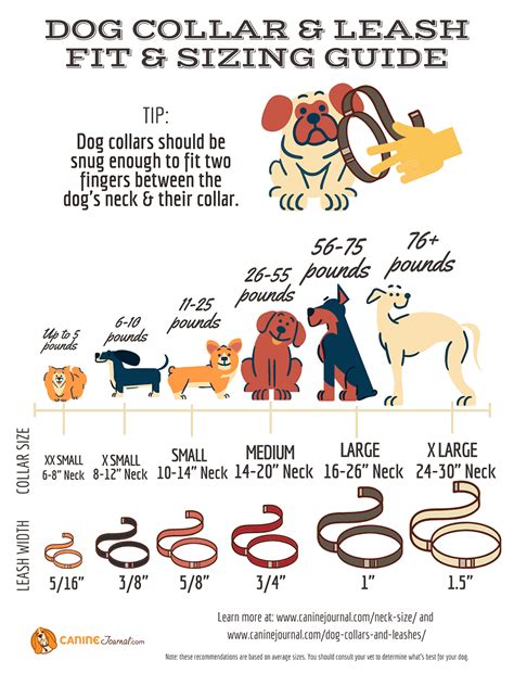 Dog Neck Sizes Chart