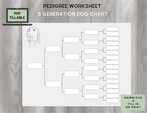 Dog Pedigree Chart Maker