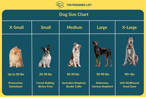 Dog Size Comparison Chart