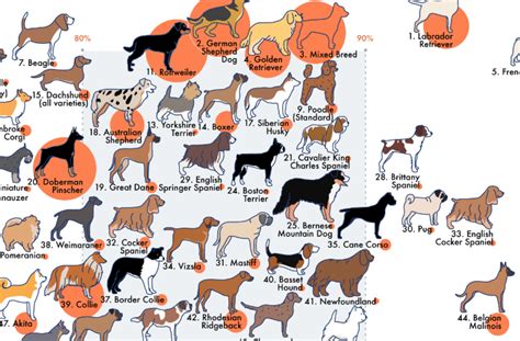 Dog Temperament Chart