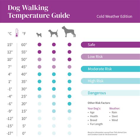 Dog Walk Temperature Chart Winter