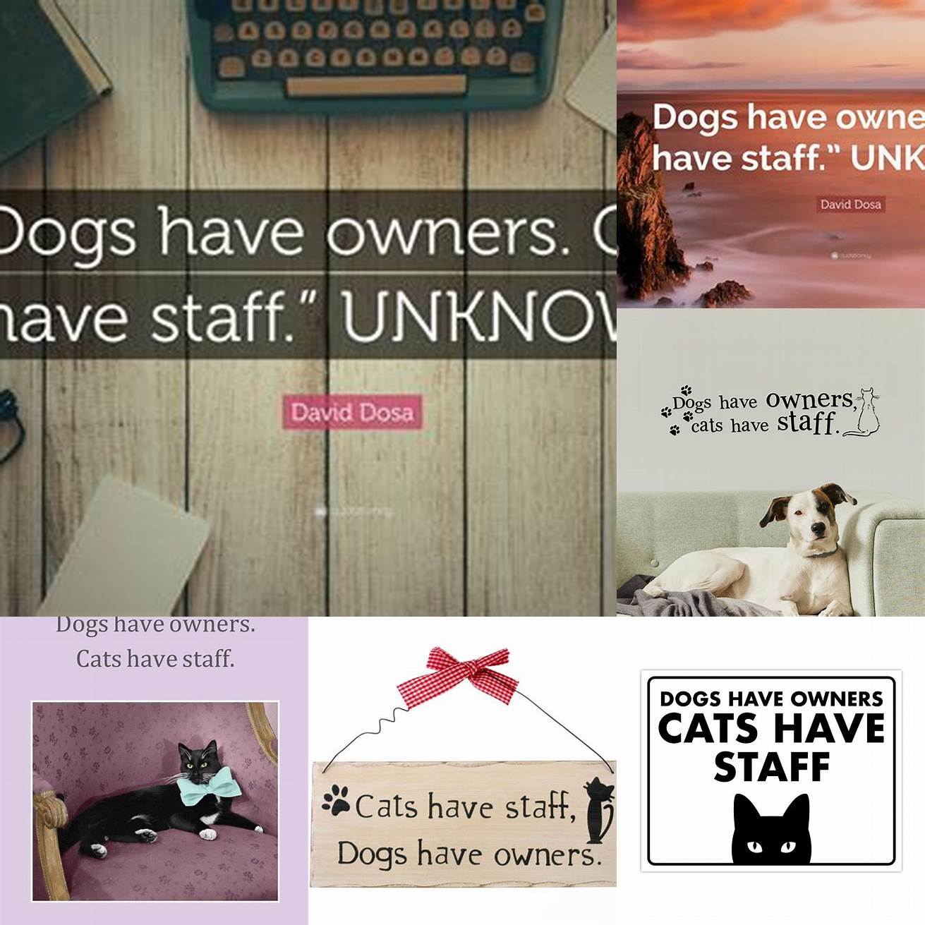 Dogs have owners cats have staff - Unknown