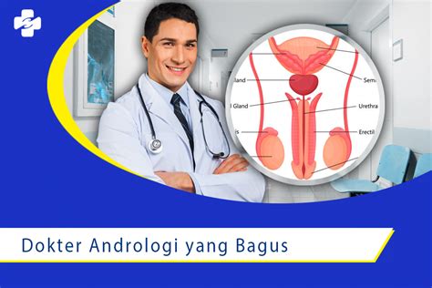 Jadwal Dokter Andrologi di Jakarta
