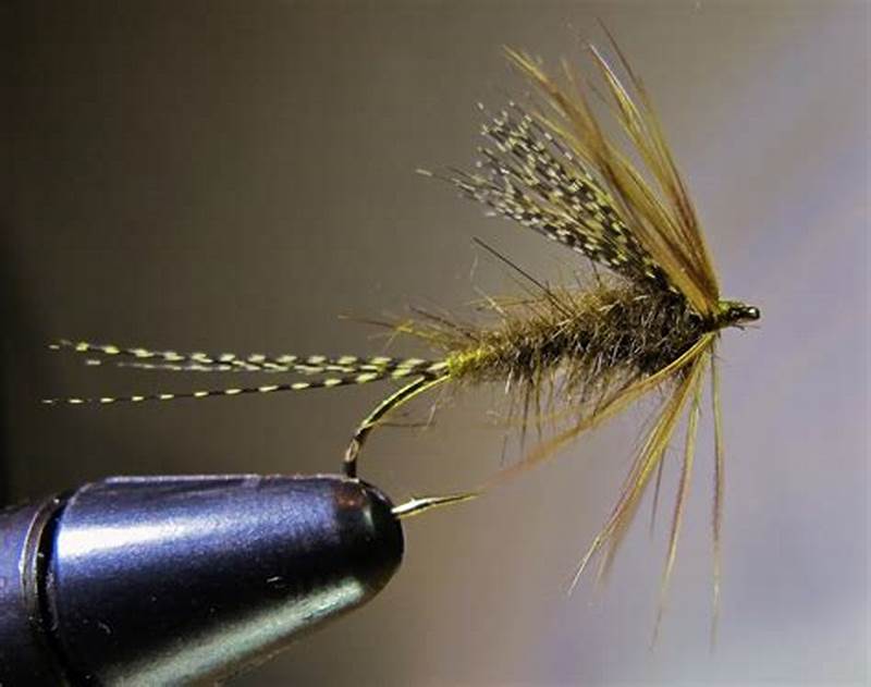 Drake Fly Pattern