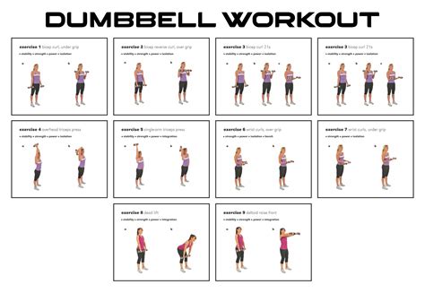 Dumbbell Exercises Chart Free Printable