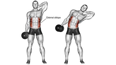 Dumbbell Side Bend