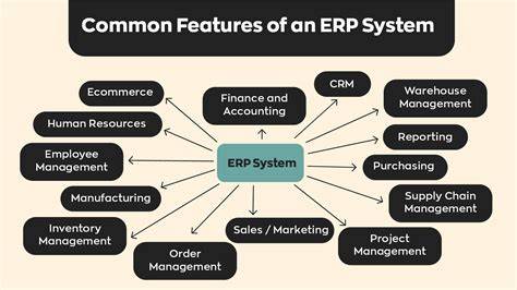 ERP System