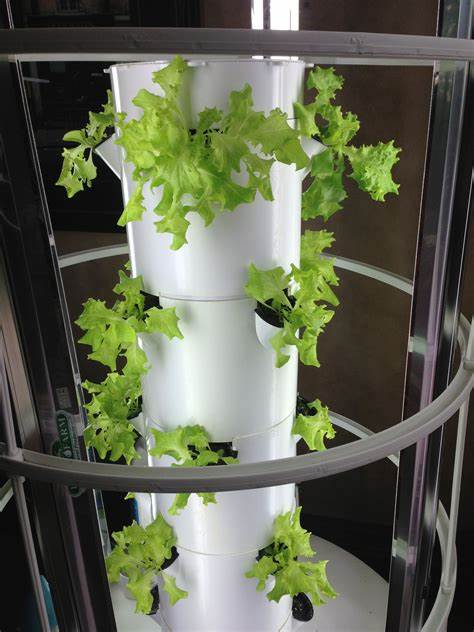 Ease of Maintenance lettuce grow tower