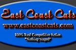 Ecnwc East Coast Cats
