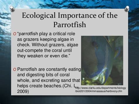 Ecological significance of walking fish