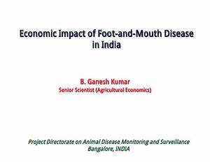 Economic Impact of Foot and Mouth Disease