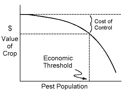 Economic