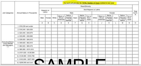 Eeo 1 Report Template Excel