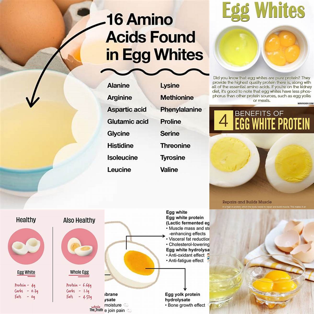 Egg whites are a good source of protein for cats which is essential for healthy muscles and tissues