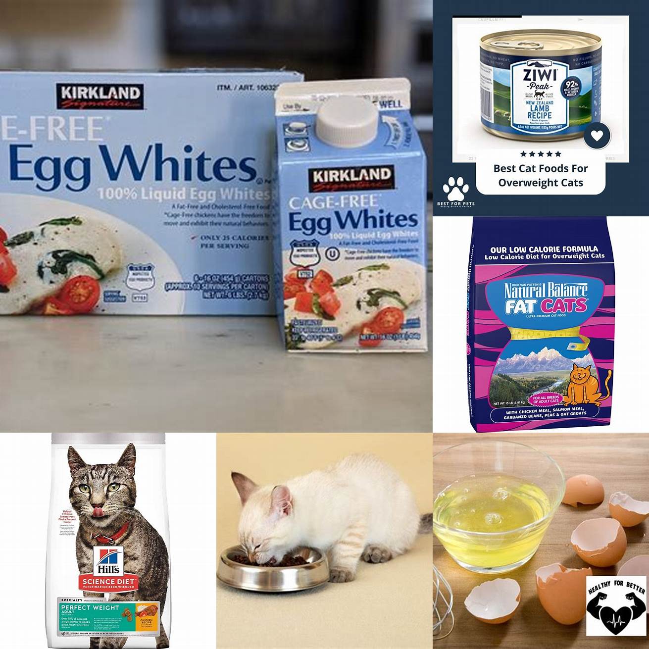 Egg whites are low in fat making them a healthy treat for overweight cats