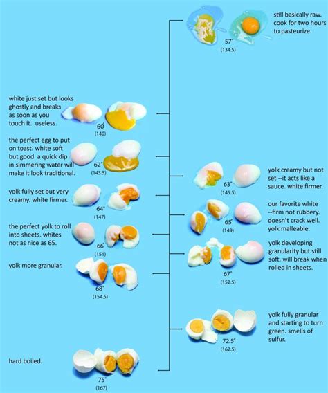 Egg Chart Cooking