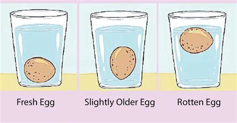 Egg Float Test Chart