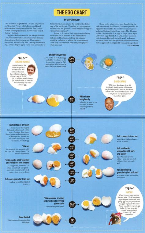 Egg Temperature Chart