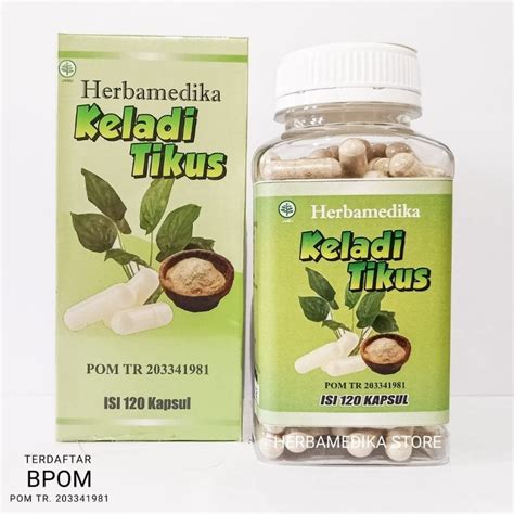 Ekstrak Keladi Tikus