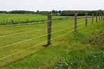 Electric Farm Fence