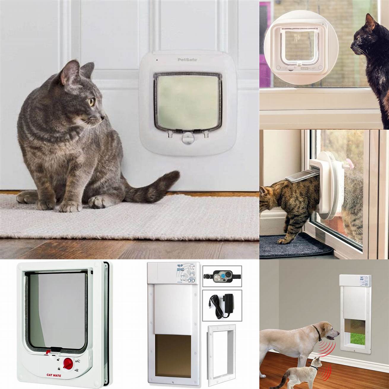 Electronic Cat Door