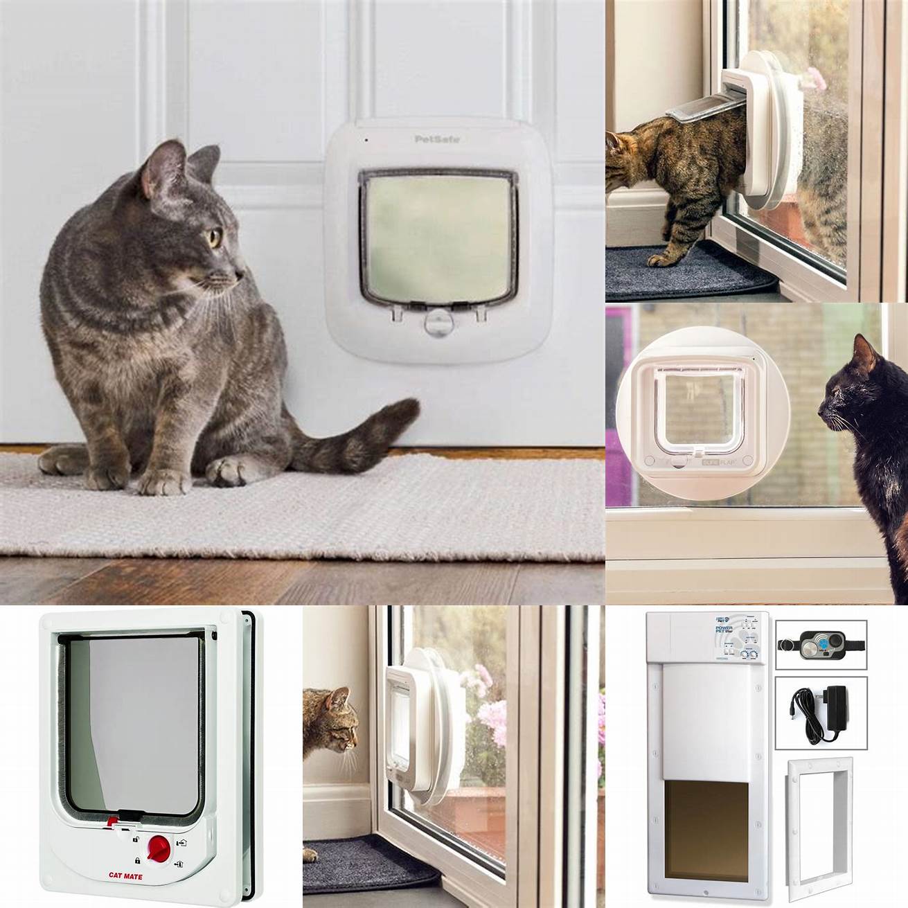 Electronic cat doors