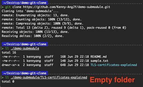 Empty Git submodule folder when repo cloned