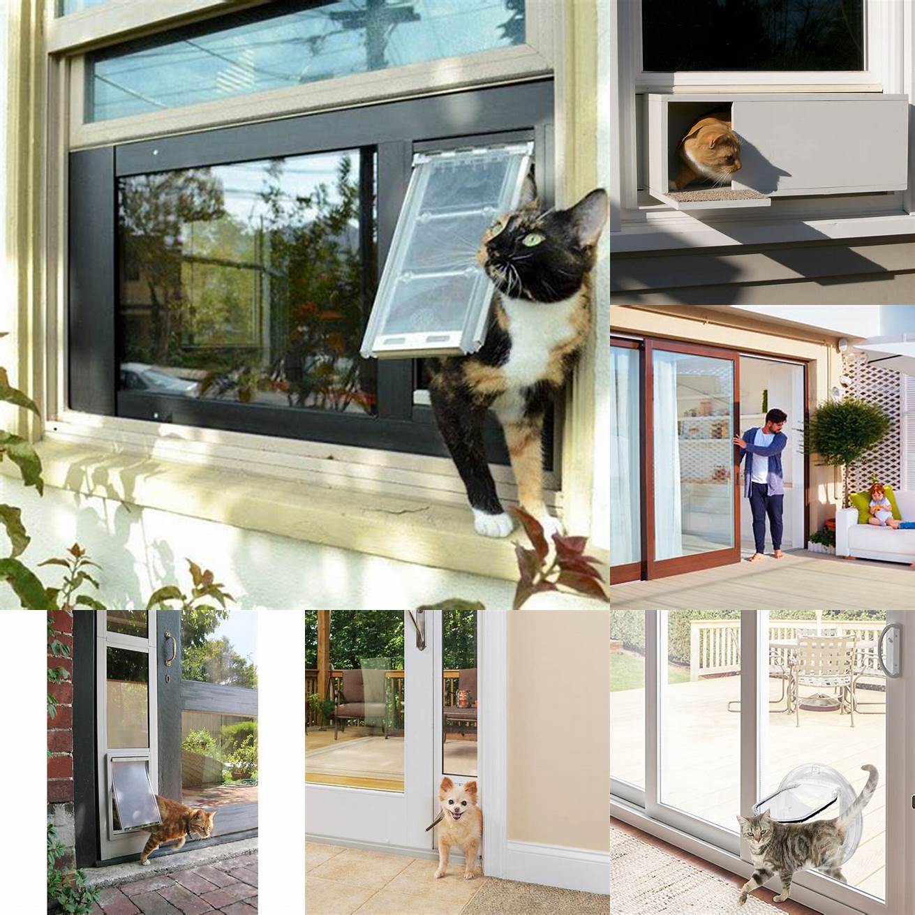 Energy Efficiency A cat door for sliding window can help you save on energy costs