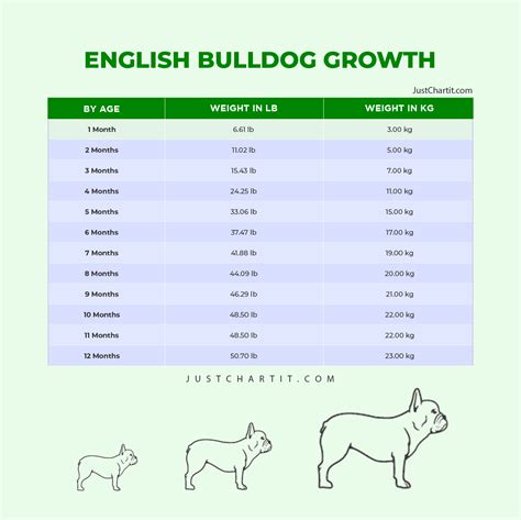 English Bulldog Weight Chart