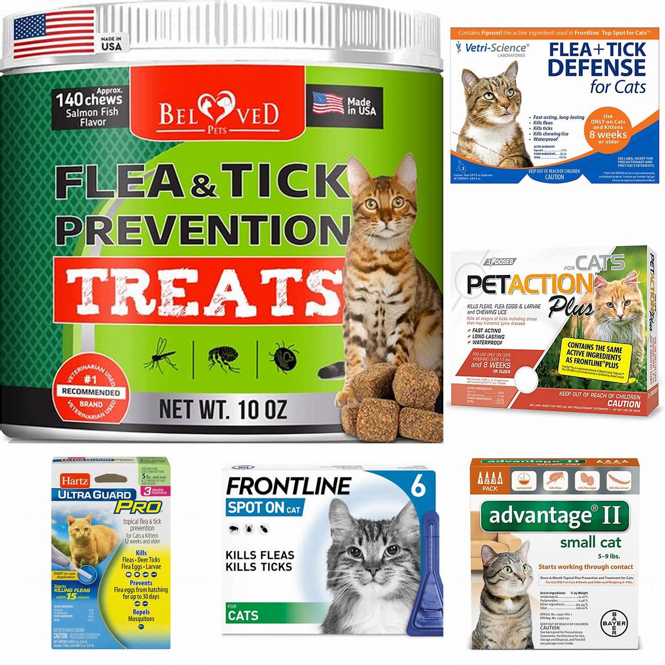Ensure that your cat is up-to-date on their flea and tick treatments Fleas and ticks can also carry mange mites and can increase the risk of your cat contracting mange