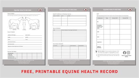 Equine Health Records Template