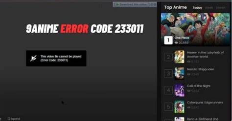 Common Causes of the 9anime Playback Error